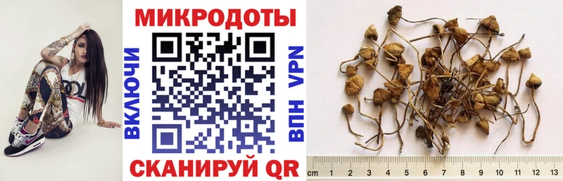 Галлюциногенные грибы мухоморы  Купить где  Шахты 